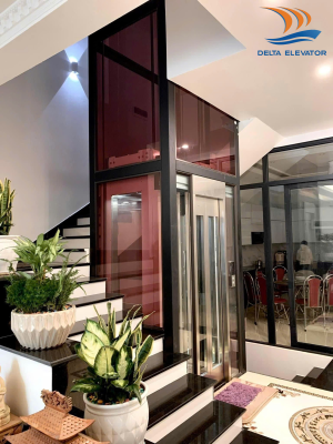 Thang máy kính giúp nhà phố không có giếng trời trở nên thoáng và rộng hơn