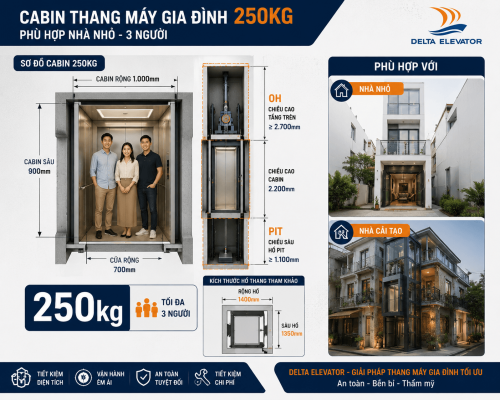 Thang máy gia đình 250kg phù hợp với nhà nhỏ và nhà cải tạo hạn chế diện tích