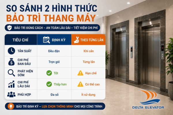 So sánh gói bảo trì thang máy định kỳ và theo từng lần